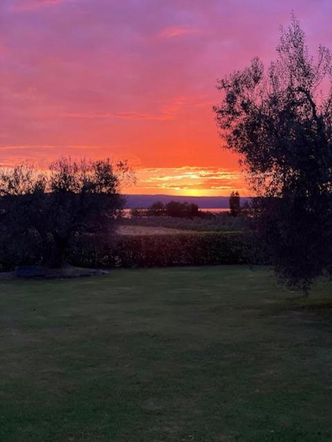 בולסנה Agriturismo Arlena מראה חיצוני תמונה