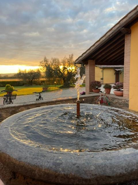 בולסנה Agriturismo Arlena מראה חיצוני תמונה